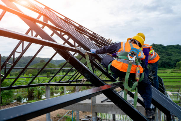 Best Residential Roofing Contractor  in Warsaw, IL