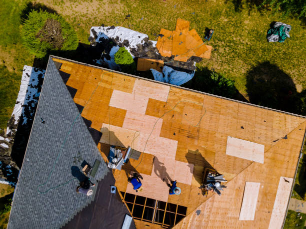 Best Roof Repair Services  in Warsaw, IL