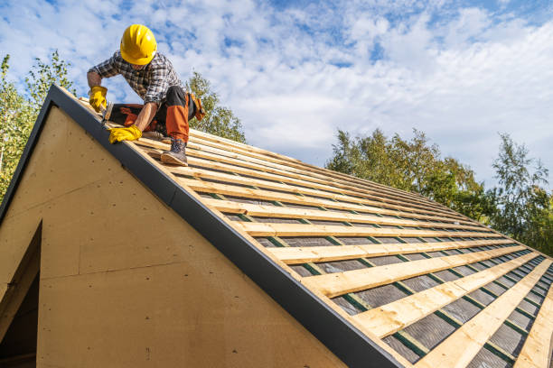 Best Flat Roof Repair Services  in Warsaw, IL