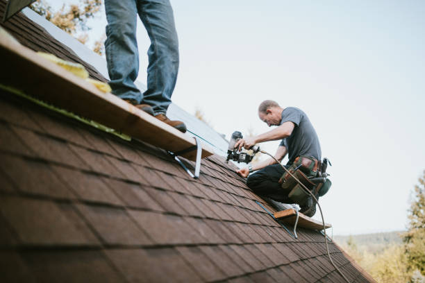 Best New Roof Installation  in Warsaw, IL